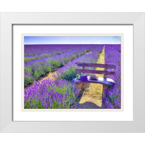 Bench in Lavender field White Modern Wood Framed Art Print with Double Matting by Frank, Assaf