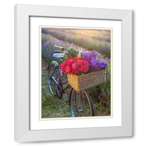 Basket of flowers on a bicycle White Modern Wood Framed Art Print with Double Matting by Frank, Assaf