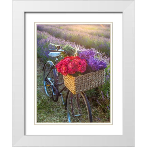 Basket of flowers on a bicycle White Modern Wood Framed Art Print with Double Matting by Frank, Assaf