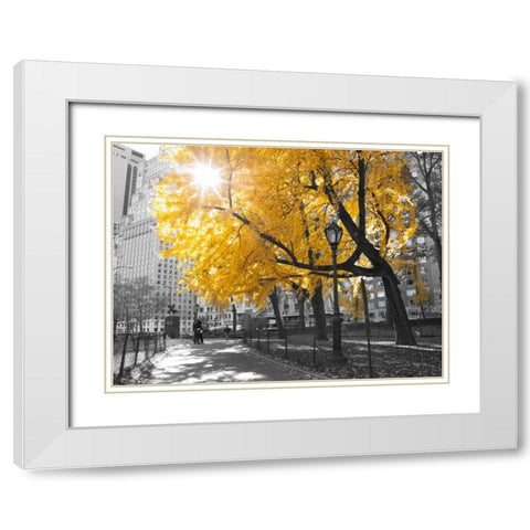 Pathway through Central park, New York City White Modern Wood Framed Art Print with Double Matting by Frank, Assaf
