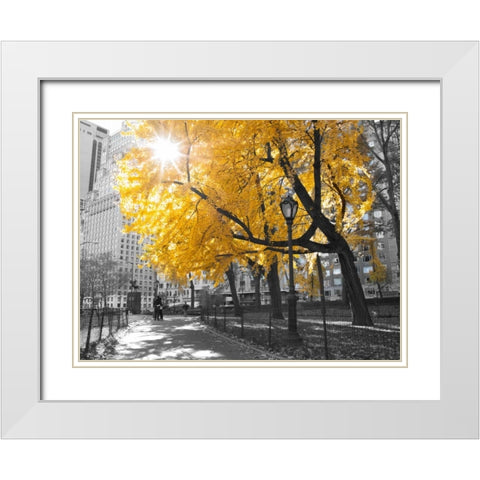 Pathway through Central park, New York City White Modern Wood Framed Art Print with Double Matting by Frank, Assaf