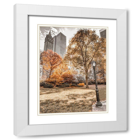 Central park in autumn-Manhattan-New York White Modern Wood Framed Art Print with Double Matting by Frank, Assaf