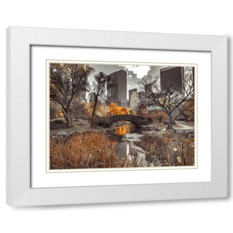 Gapstow Bridge in autumn, Central Park, New York city, FTBR-1801 White Modern Wood Framed Art Print with Double Matting by Frank, Assaf