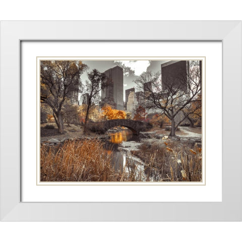 Gapstow Bridge in autumn, Central Park, New York city, FTBR-1801 White Modern Wood Framed Art Print with Double Matting by Frank, Assaf