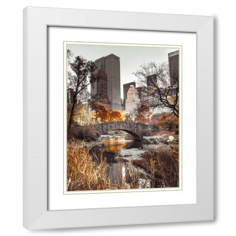 Gapstow bridge in autumn, Central Park, New York city, FTBR-1802 White Modern Wood Framed Art Print with Double Matting by Frank, Assaf