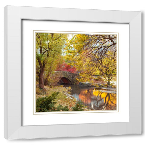 Gapstow bridge in autumn-Central Park-New York city White Modern Wood Framed Art Print with Double Matting by Frank, Assaf