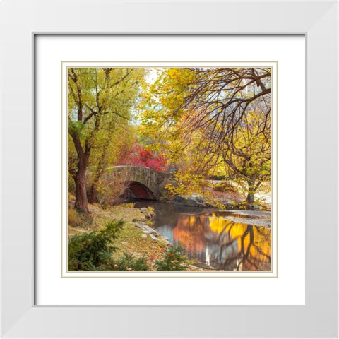 Gapstow bridge in autumn-Central Park-New York city White Modern Wood Framed Art Print with Double Matting by Frank, Assaf