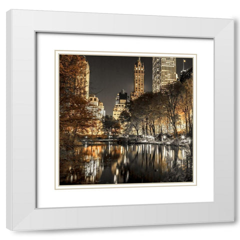 Evening view of Central Park in New York City White Modern Wood Framed Art Print with Double Matting by Frank, Assaf