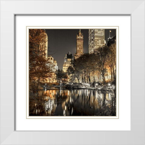 Evening view of Central Park in New York City White Modern Wood Framed Art Print with Double Matting by Frank, Assaf