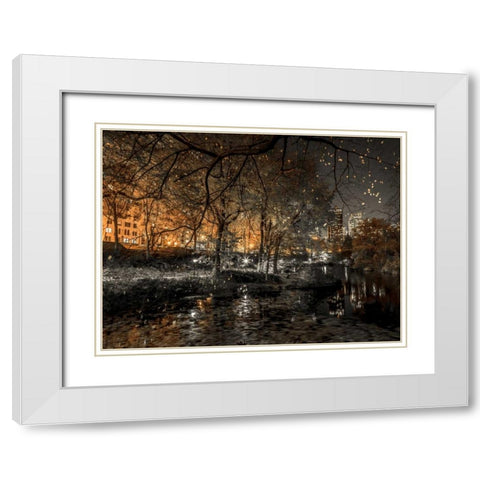 Evening view of Central Park in New York City White Modern Wood Framed Art Print with Double Matting by Frank, Assaf
