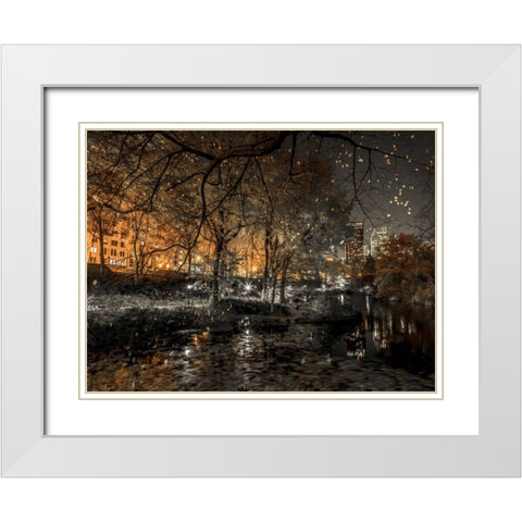 Evening view of Central Park in New York City White Modern Wood Framed Art Print with Double Matting by Frank, Assaf