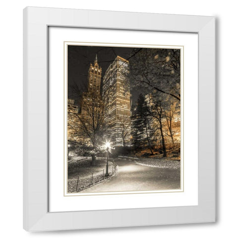 Evening view of Central Park in New York City White Modern Wood Framed Art Print with Double Matting by Frank, Assaf