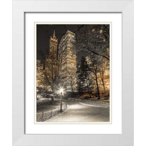 Evening view of Central Park in New York City White Modern Wood Framed Art Print with Double Matting by Frank, Assaf