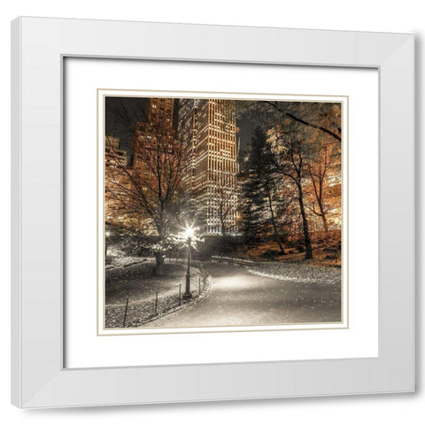 Evening view of Central Park in New York City White Modern Wood Framed Art Print with Double Matting by Frank, Assaf