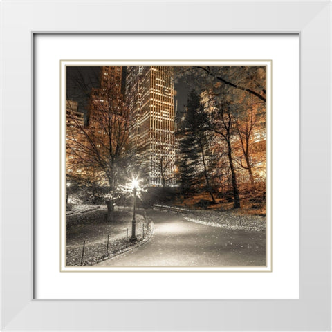 Evening view of Central Park in New York City White Modern Wood Framed Art Print with Double Matting by Frank, Assaf