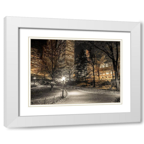 Evening view of Central Park in New York City White Modern Wood Framed Art Print with Double Matting by Frank, Assaf
