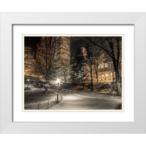 Evening view of Central Park in New York City White Modern Wood Framed Art Print with Double Matting by Frank, Assaf