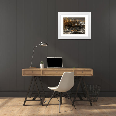 Evening view of Central Park in New York City White Modern Wood Framed Art Print with Double Matting by Frank, Assaf