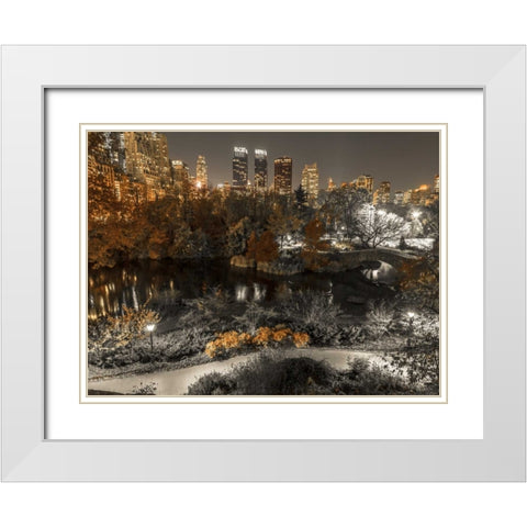 Evening view of Central Park in New York City White Modern Wood Framed Art Print with Double Matting by Frank, Assaf