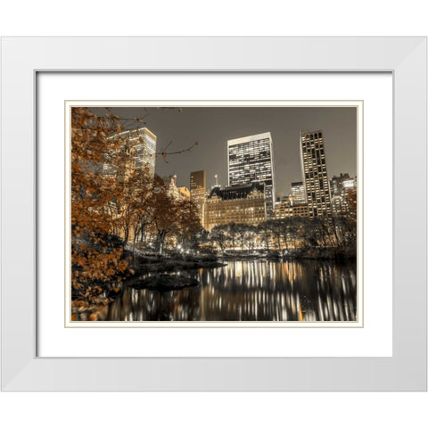 Evening view of Central Park in New York City White Modern Wood Framed Art Print with Double Matting by Frank, Assaf