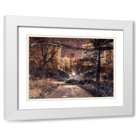Evening view of Central Park in New York City White Modern Wood Framed Art Print with Double Matting by Frank, Assaf
