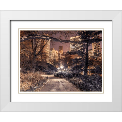 Evening view of Central Park in New York City White Modern Wood Framed Art Print with Double Matting by Frank, Assaf
