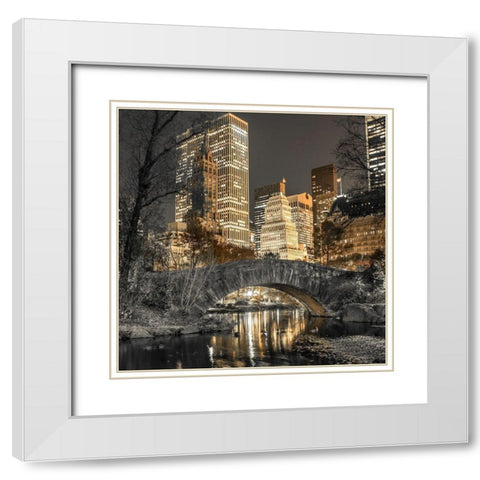 Evening view of Central Park in New York City White Modern Wood Framed Art Print with Double Matting by Frank, Assaf