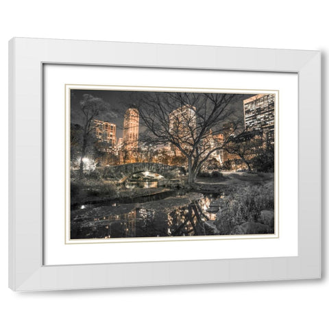 Evening view of Central Park in New York City White Modern Wood Framed Art Print with Double Matting by Frank, Assaf