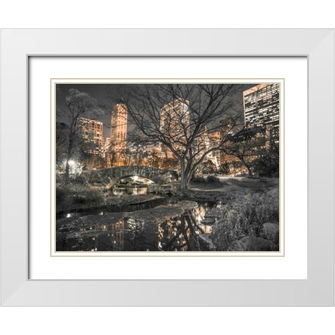 Evening view of Central Park in New York City White Modern Wood Framed Art Print with Double Matting by Frank, Assaf