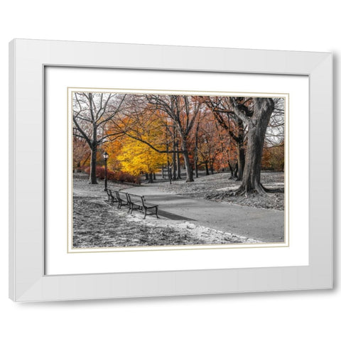 Pathway through Central Park, New York White Modern Wood Framed Art Print with Double Matting by Frank, Assaf