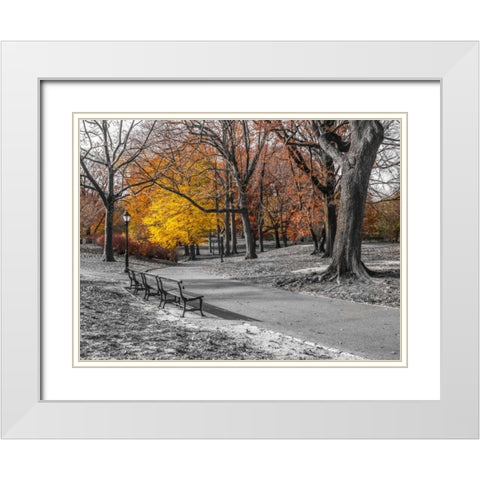 Pathway through Central Park, New York White Modern Wood Framed Art Print with Double Matting by Frank, Assaf