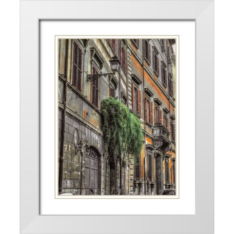 Old building in city of Rome, Italy White Modern Wood Framed Art Print with Double Matting by Frank, Assaf