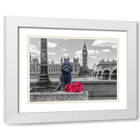 Dog by a lampost with bunch of Roses, London, UK White Modern Wood Framed Art Print with Double Matting by Frank, Assaf