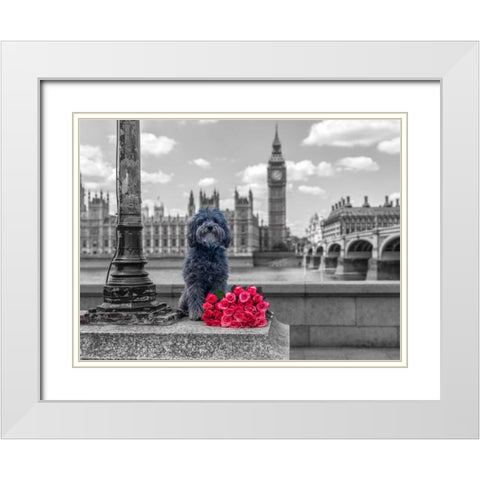 Dog by a lampost with bunch of Roses, London, UK White Modern Wood Framed Art Print with Double Matting by Frank, Assaf