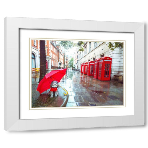 Dog with umbrella on London city street White Modern Wood Framed Art Print with Double Matting by Frank, Assaf