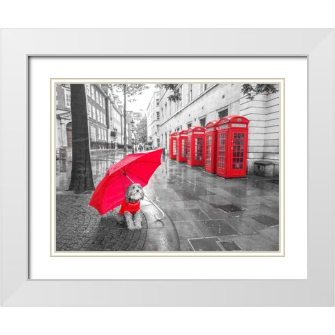 Dog with umbrella in London White Modern Wood Framed Art Print with Double Matting by Frank, Assaf