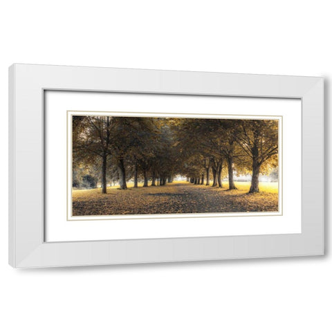 Pathway through trees in forest White Modern Wood Framed Art Print with Double Matting by Frank, Assaf