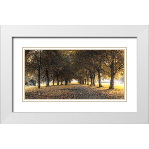 Pathway through trees in forest White Modern Wood Framed Art Print with Double Matting by Frank, Assaf