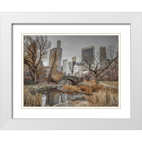 Central park and Manhattan skyline, New York White Modern Wood Framed Art Print with Double Matting by Frank, Assaf