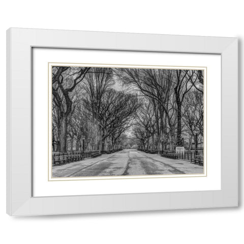 Pathway through Central park, New York White Modern Wood Framed Art Print with Double Matting by Frank, Assaf