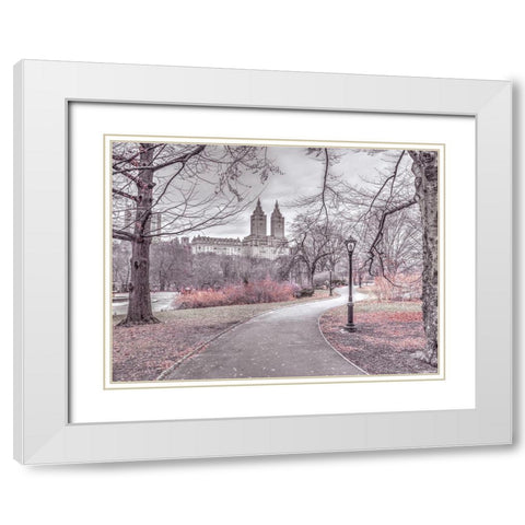 Pathway through Central park-New York White Modern Wood Framed Art Print with Double Matting by Frank, Assaf