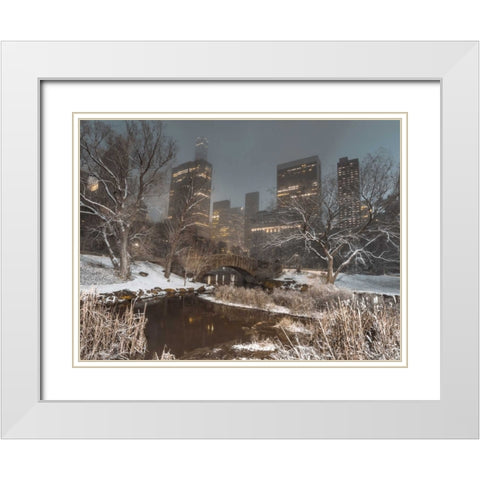 Central park with Manhattan skyline, New York White Modern Wood Framed Art Print with Double Matting by Frank, Assaf