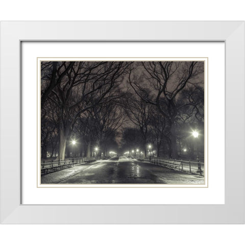 Central park with Manhattan skyline, New York White Modern Wood Framed Art Print with Double Matting by Frank, Assaf