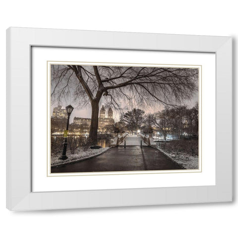 Evening view of Central park-New York White Modern Wood Framed Art Print with Double Matting by Frank, Assaf
