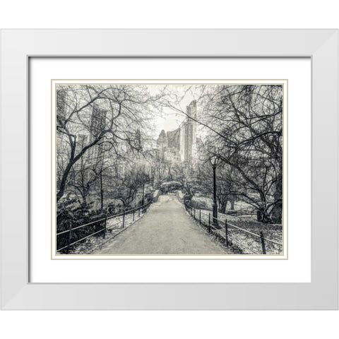 Pathway through Central park, New York White Modern Wood Framed Art Print with Double Matting by Frank, Assaf