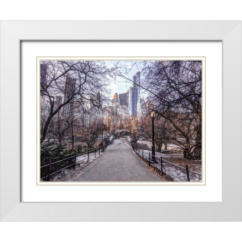 Pathway through Central park, New York White Modern Wood Framed Art Print with Double Matting by Frank, Assaf