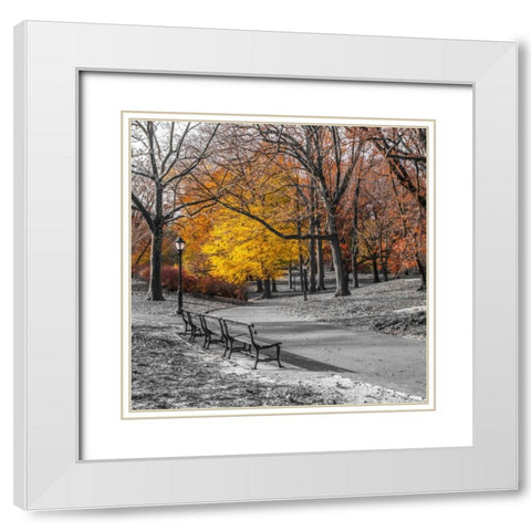 AF20131120 New York 1775C03 White Modern Wood Framed Art Print with Double Matting by Frank, Assaf