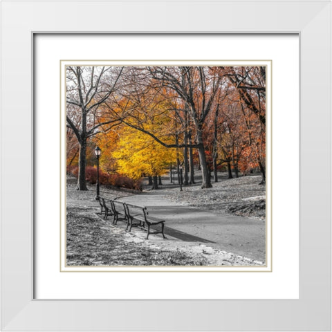 AF20131120 New York 1775C03 White Modern Wood Framed Art Print with Double Matting by Frank, Assaf