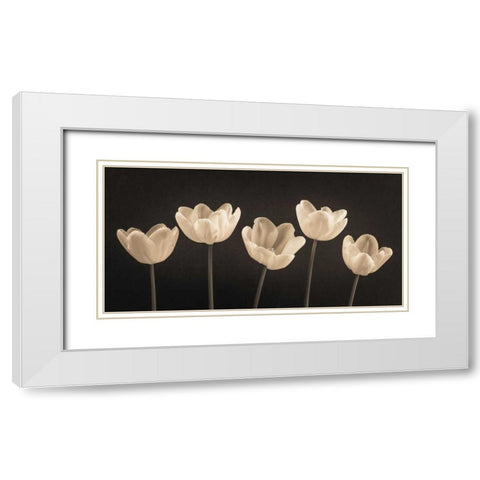 Five Tulips in a row White Modern Wood Framed Art Print with Double Matting by Frank, Assaf