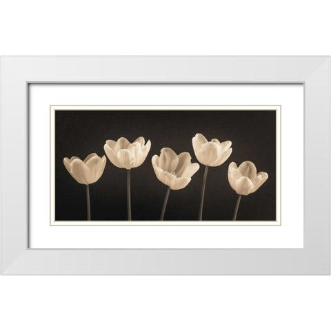 Five Tulips in a row White Modern Wood Framed Art Print with Double Matting by Frank, Assaf